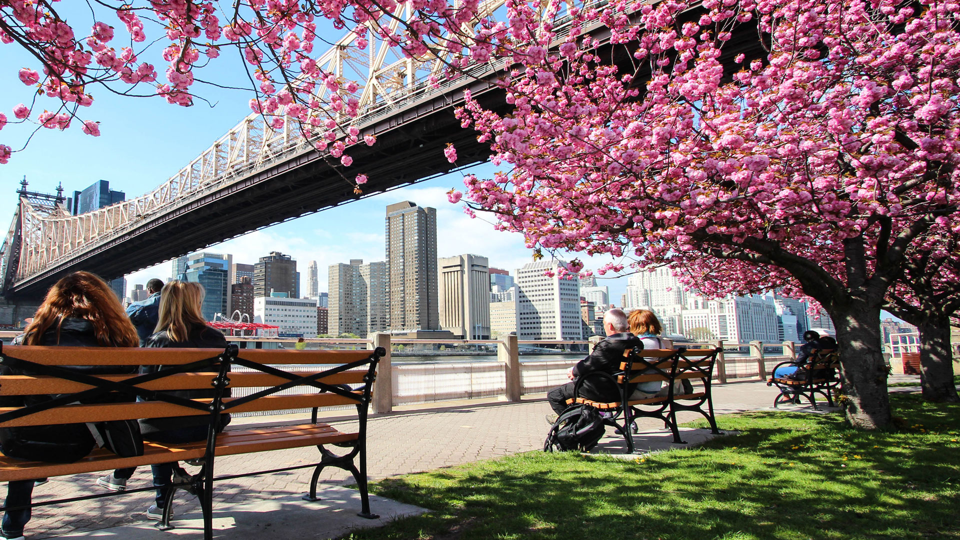 New York City laundry life — The Bubble Room blog